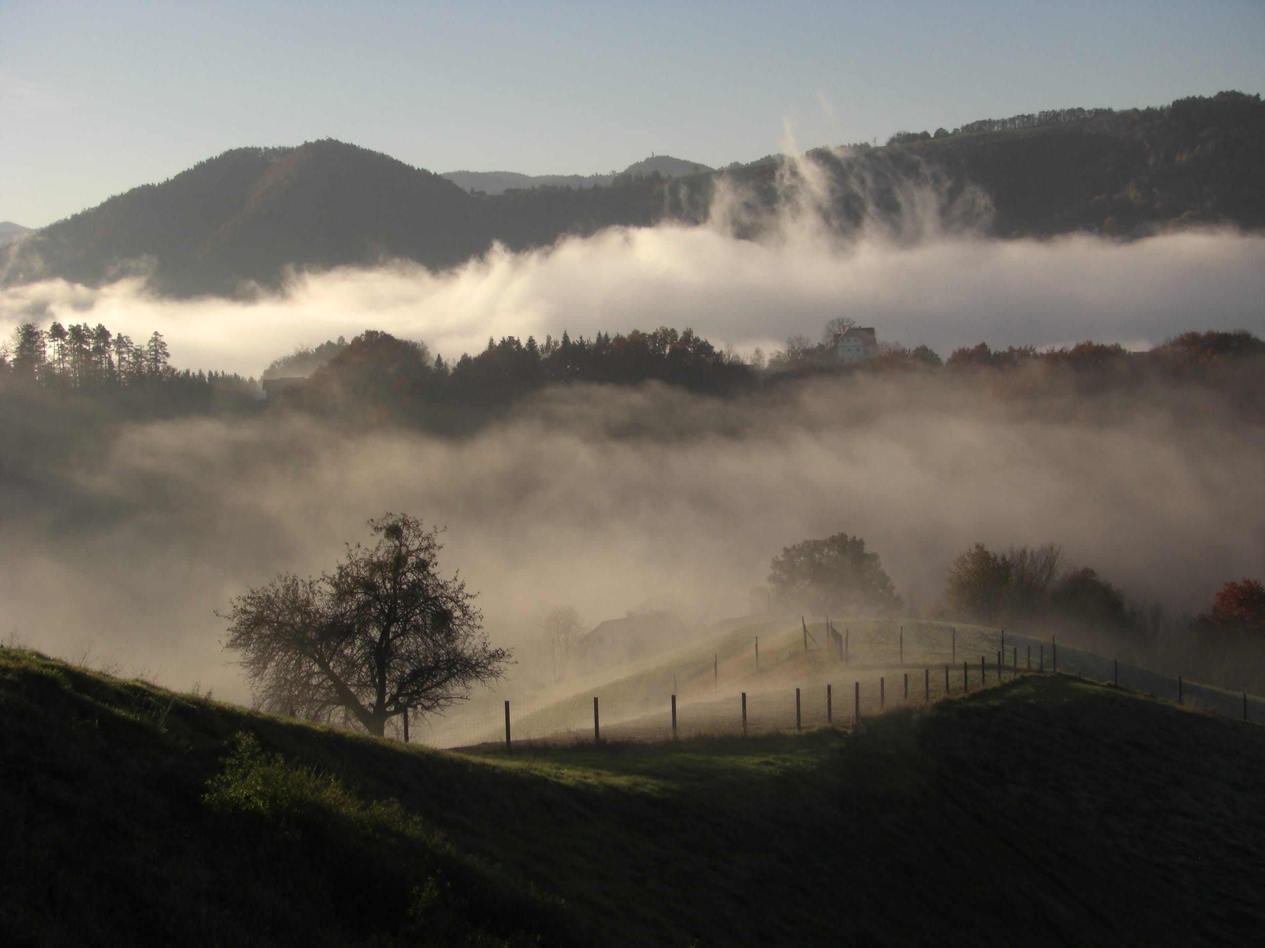 Nebel liegt in einem Talkessel zwischen bewaldeten Hügeln, im Vordergrund ein einzelner Baum an einem Zaun